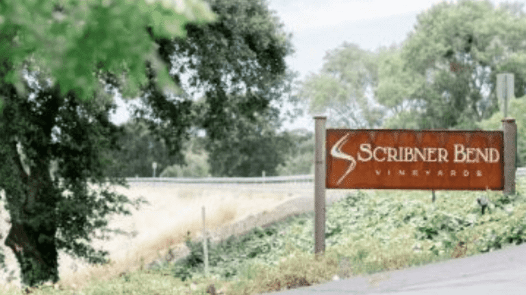 Scribner Bend Vineyards