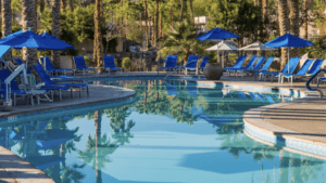 A vibrant dog park bathed in sunlight features abundant greenery with mature trees, offering ample shade for leisurely outdoor activities. In the distance is a well-equipped playground that presents an additional activity area. An inviting picnic table spreads out nearby, ideal for enjoying meals al fresco or taking relaxing breaks from play. A neatly-placed trash bin aids in maintaining the park's cleanliness for everyone's enjoyment. Dominating the scene is a generously wide dirt path gracefully curving through the expanse of grass, promising exploratory walks and lively fetch games.