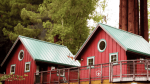 A vibrant dog park bathed in sunlight features abundant greenery with mature trees, offering ample shade for leisurely outdoor activities. In the distance is a well-equipped playground that presents an additional activity area. An inviting picnic table spreads out nearby, ideal for enjoying meals al fresco or taking relaxing breaks from play. A neatly-placed trash bin aids in maintaining the park's cleanliness for everyone's enjoyment. Dominating the scene is a generously wide dirt path gracefully curving through the expanse of grass, promising exploratory walks and lively fetch games.
