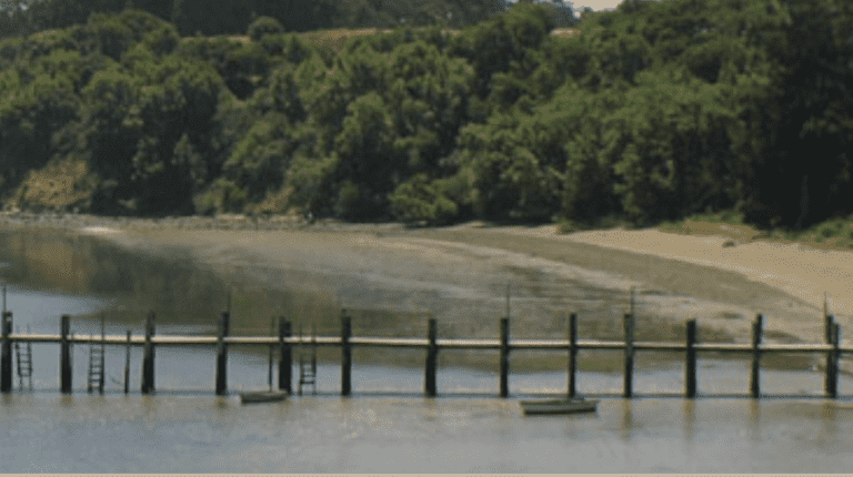 China Camp State Park