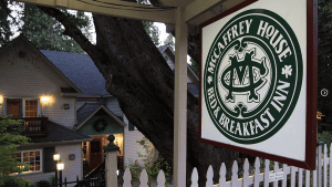 A vibrant dog park bathed in sunlight features abundant greenery with mature trees, offering ample shade for leisurely outdoor activities. In the distance is a well-equipped playground that presents an additional activity area. An inviting picnic table spreads out nearby, ideal for enjoying meals al fresco or taking relaxing breaks from play. A neatly-placed trash bin aids in maintaining the park's cleanliness for everyone's enjoyment. Dominating the scene is a generously wide dirt path gracefully curving through the expanse of grass, promising exploratory walks and lively fetch games.