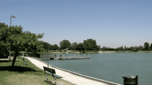 A vibrant dog park bathed in sunlight features abundant greenery with mature trees, offering ample shade for leisurely outdoor activities. In the distance is a well-equipped playground that presents an additional activity area. An inviting picnic table spreads out nearby, ideal for enjoying meals al fresco or taking relaxing breaks from play. A neatly-placed trash bin aids in maintaining the park's cleanliness for everyone's enjoyment. Dominating the scene is a generously wide dirt path gracefully curving through the expanse of grass, promising exploratory walks and lively fetch games.