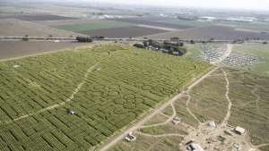 A vibrant dog park bathed in sunlight features abundant greenery with mature trees, offering ample shade for leisurely outdoor activities. In the distance is a well-equipped playground that presents an additional activity area. An inviting picnic table spreads out nearby, ideal for enjoying meals al fresco or taking relaxing breaks from play. A neatly-placed trash bin aids in maintaining the park's cleanliness for everyone's enjoyment. Dominating the scene is a generously wide dirt path gracefully curving through the expanse of grass, promising exploratory walks and lively fetch games.