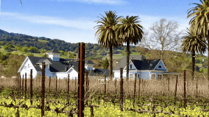 A vibrant dog park bathed in sunlight features abundant greenery with mature trees, offering ample shade for leisurely outdoor activities. In the distance is a well-equipped playground that presents an additional activity area. An inviting picnic table spreads out nearby, ideal for enjoying meals al fresco or taking relaxing breaks from play. A neatly-placed trash bin aids in maintaining the park's cleanliness for everyone's enjoyment. Dominating the scene is a generously wide dirt path gracefully curving through the expanse of grass, promising exploratory walks and lively fetch games.