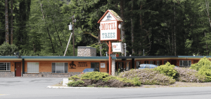 A vibrant dog park bathed in sunlight features abundant greenery with mature trees, offering ample shade for leisurely outdoor activities. In the distance is a well-equipped playground that presents an additional activity area. An inviting picnic table spreads out nearby, ideal for enjoying meals al fresco or taking relaxing breaks from play. A neatly-placed trash bin aids in maintaining the park's cleanliness for everyone's enjoyment. Dominating the scene is a generously wide dirt path gracefully curving through the expanse of grass, promising exploratory walks and lively fetch games.