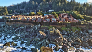A vibrant dog park bathed in sunlight features abundant greenery with mature trees, offering ample shade for leisurely outdoor activities. In the distance is a well-equipped playground that presents an additional activity area. An inviting picnic table spreads out nearby, ideal for enjoying meals al fresco or taking relaxing breaks from play. A neatly-placed trash bin aids in maintaining the park's cleanliness for everyone's enjoyment. Dominating the scene is a generously wide dirt path gracefully curving through the expanse of grass, promising exploratory walks and lively fetch games.