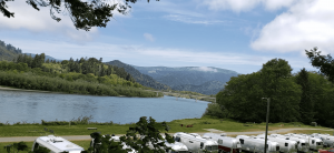 A vibrant dog park bathed in sunlight features abundant greenery with mature trees, offering ample shade for leisurely outdoor activities. In the distance is a well-equipped playground that presents an additional activity area. An inviting picnic table spreads out nearby, ideal for enjoying meals al fresco or taking relaxing breaks from play. A neatly-placed trash bin aids in maintaining the park's cleanliness for everyone's enjoyment. Dominating the scene is a generously wide dirt path gracefully curving through the expanse of grass, promising exploratory walks and lively fetch games.