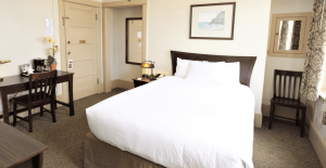 A vibrant dog park bathed in sunlight features abundant greenery with mature trees, offering ample shade for leisurely outdoor activities. In the distance is a well-equipped playground that presents an additional activity area. An inviting picnic table spreads out nearby, ideal for enjoying meals al fresco or taking relaxing breaks from play. A neatly-placed trash bin aids in maintaining the park's cleanliness for everyone's enjoyment. Dominating the scene is a generously wide dirt path gracefully curving through the expanse of grass, promising exploratory walks and lively fetch games.