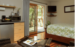 A vibrant dog park bathed in sunlight features abundant greenery with mature trees, offering ample shade for leisurely outdoor activities. In the distance is a well-equipped playground that presents an additional activity area. An inviting picnic table spreads out nearby, ideal for enjoying meals al fresco or taking relaxing breaks from play. A neatly-placed trash bin aids in maintaining the park's cleanliness for everyone's enjoyment. Dominating the scene is a generously wide dirt path gracefully curving through the expanse of grass, promising exploratory walks and lively fetch games.