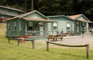 A vibrant dog park bathed in sunlight features abundant greenery with mature trees, offering ample shade for leisurely outdoor activities. In the distance is a well-equipped playground that presents an additional activity area. An inviting picnic table spreads out nearby, ideal for enjoying meals al fresco or taking relaxing breaks from play. A neatly-placed trash bin aids in maintaining the park's cleanliness for everyone's enjoyment. Dominating the scene is a generously wide dirt path gracefully curving through the expanse of grass, promising exploratory walks and lively fetch games.
