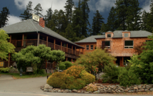 A vibrant dog park bathed in sunlight features abundant greenery with mature trees, offering ample shade for leisurely outdoor activities. In the distance is a well-equipped playground that presents an additional activity area. An inviting picnic table spreads out nearby, ideal for enjoying meals al fresco or taking relaxing breaks from play. A neatly-placed trash bin aids in maintaining the park's cleanliness for everyone's enjoyment. Dominating the scene is a generously wide dirt path gracefully curving through the expanse of grass, promising exploratory walks and lively fetch games.