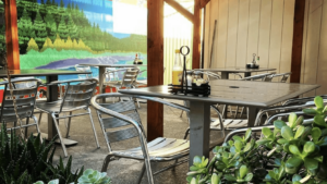 A vibrant dog park bathed in sunlight features abundant greenery with mature trees, offering ample shade for leisurely outdoor activities. In the distance is a well-equipped playground that presents an additional activity area. An inviting picnic table spreads out nearby, ideal for enjoying meals al fresco or taking relaxing breaks from play. A neatly-placed trash bin aids in maintaining the park's cleanliness for everyone's enjoyment. Dominating the scene is a generously wide dirt path gracefully curving through the expanse of grass, promising exploratory walks and lively fetch games.