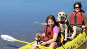 A vibrant dog park bathed in sunlight features abundant greenery with mature trees, offering ample shade for leisurely outdoor activities. In the distance is a well-equipped playground that presents an additional activity area. An inviting picnic table spreads out nearby, ideal for enjoying meals al fresco or taking relaxing breaks from play. A neatly-placed trash bin aids in maintaining the park's cleanliness for everyone's enjoyment. Dominating the scene is a generously wide dirt path gracefully curving through the expanse of grass, promising exploratory walks and lively fetch games.