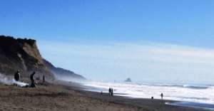 A vibrant dog park bathed in sunlight features abundant greenery with mature trees, offering ample shade for leisurely outdoor activities. In the distance is a well-equipped playground that presents an additional activity area. An inviting picnic table spreads out nearby, ideal for enjoying meals al fresco or taking relaxing breaks from play. A neatly-placed trash bin aids in maintaining the park's cleanliness for everyone's enjoyment. Dominating the scene is a generously wide dirt path gracefully curving through the expanse of grass, promising exploratory walks and lively fetch games.