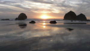 A vibrant dog park bathed in sunlight features abundant greenery with mature trees, offering ample shade for leisurely outdoor activities. In the distance is a well-equipped playground that presents an additional activity area. An inviting picnic table spreads out nearby, ideal for enjoying meals al fresco or taking relaxing breaks from play. A neatly-placed trash bin aids in maintaining the park's cleanliness for everyone's enjoyment. Dominating the scene is a generously wide dirt path gracefully curving through the expanse of grass, promising exploratory walks and lively fetch games.