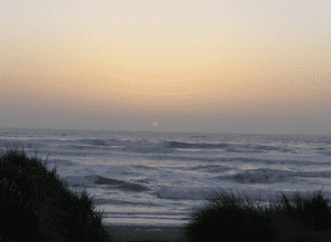 A vibrant dog park bathed in sunlight features abundant greenery with mature trees, offering ample shade for leisurely outdoor activities. In the distance is a well-equipped playground that presents an additional activity area. An inviting picnic table spreads out nearby, ideal for enjoying meals al fresco or taking relaxing breaks from play. A neatly-placed trash bin aids in maintaining the park's cleanliness for everyone's enjoyment. Dominating the scene is a generously wide dirt path gracefully curving through the expanse of grass, promising exploratory walks and lively fetch games.