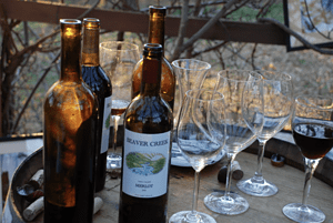 A vibrant dog park bathed in sunlight features abundant greenery with mature trees, offering ample shade for leisurely outdoor activities. In the distance is a well-equipped playground that presents an additional activity area. An inviting picnic table spreads out nearby, ideal for enjoying meals al fresco or taking relaxing breaks from play. A neatly-placed trash bin aids in maintaining the park's cleanliness for everyone's enjoyment. Dominating the scene is a generously wide dirt path gracefully curving through the expanse of grass, promising exploratory walks and lively fetch games.