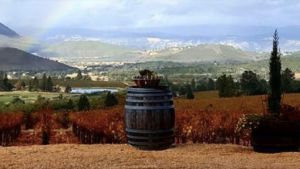 A vibrant dog park bathed in sunlight features abundant greenery with mature trees, offering ample shade for leisurely outdoor activities. In the distance is a well-equipped playground that presents an additional activity area. An inviting picnic table spreads out nearby, ideal for enjoying meals al fresco or taking relaxing breaks from play. A neatly-placed trash bin aids in maintaining the park's cleanliness for everyone's enjoyment. Dominating the scene is a generously wide dirt path gracefully curving through the expanse of grass, promising exploratory walks and lively fetch games.