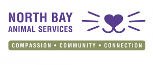 A vibrant dog park bathed in sunlight features abundant greenery with mature trees, offering ample shade for leisurely outdoor activities. In the distance is a well-equipped playground that presents an additional activity area. An inviting picnic table spreads out nearby, ideal for enjoying meals al fresco or taking relaxing breaks from play. A neatly-placed trash bin aids in maintaining the park's cleanliness for everyone's enjoyment. Dominating the scene is a generously wide dirt path gracefully curving through the expanse of grass, promising exploratory walks and lively fetch games.