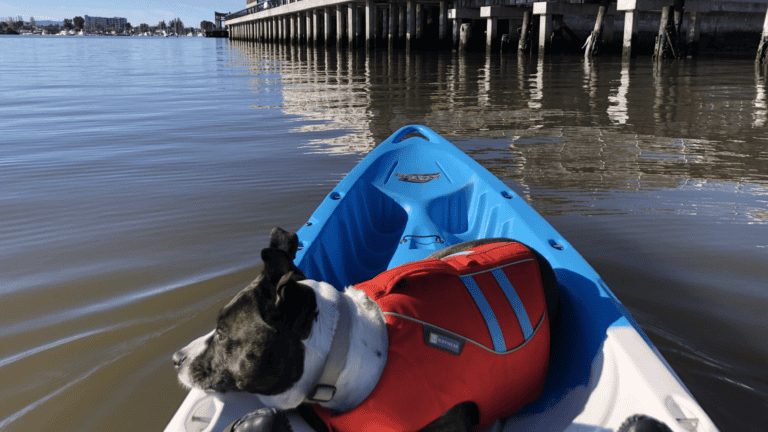 California Canoe & Kayak – Oakland