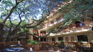 A vibrant dog park bathed in sunlight features abundant greenery with mature trees, offering ample shade for leisurely outdoor activities. In the distance is a well-equipped playground that presents an additional activity area. An inviting picnic table spreads out nearby, ideal for enjoying meals al fresco or taking relaxing breaks from play. A neatly-placed trash bin aids in maintaining the park's cleanliness for everyone's enjoyment. Dominating the scene is a generously wide dirt path gracefully curving through the expanse of grass, promising exploratory walks and lively fetch games.