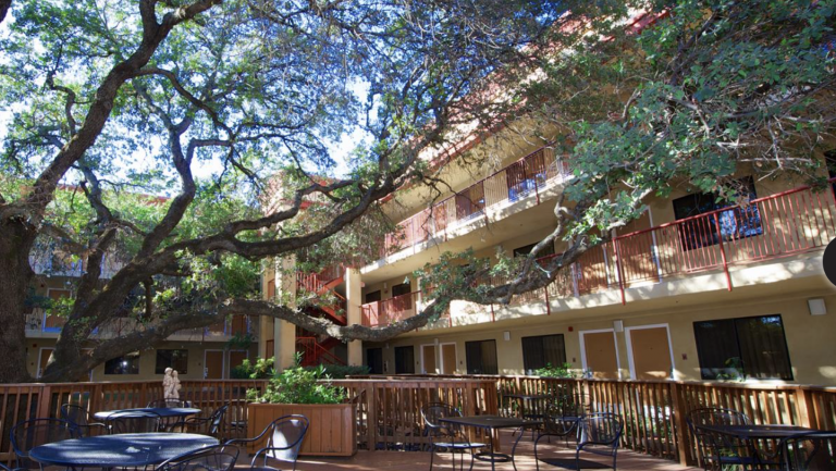 Best Western Plus Orchid Hotel & Suites