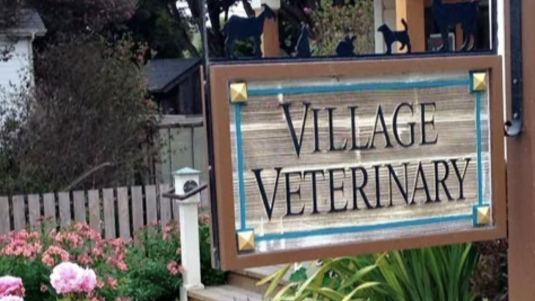 Village Veterinary