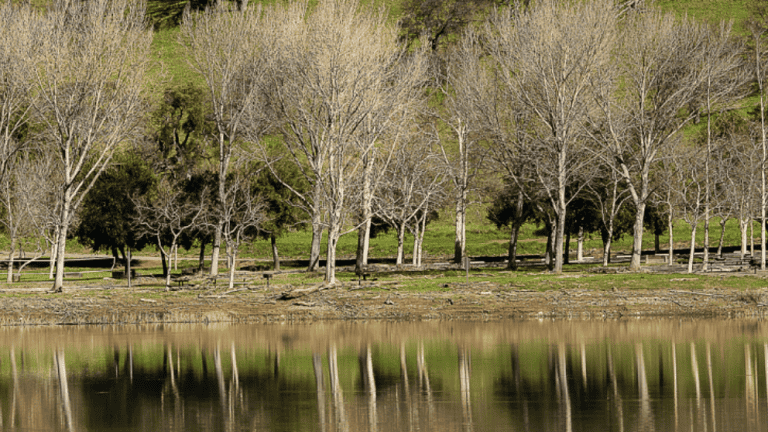 Del Valle Lake Marina