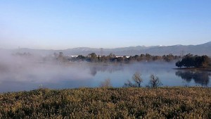 A vibrant dog park bathed in sunlight features abundant greenery with mature trees, offering ample shade for leisurely outdoor activities. In the distance is a well-equipped playground that presents an additional activity area. An inviting picnic table spreads out nearby, ideal for enjoying meals al fresco or taking relaxing breaks from play. A neatly-placed trash bin aids in maintaining the park's cleanliness for everyone's enjoyment. Dominating the scene is a generously wide dirt path gracefully curving through the expanse of grass, promising exploratory walks and lively fetch games.