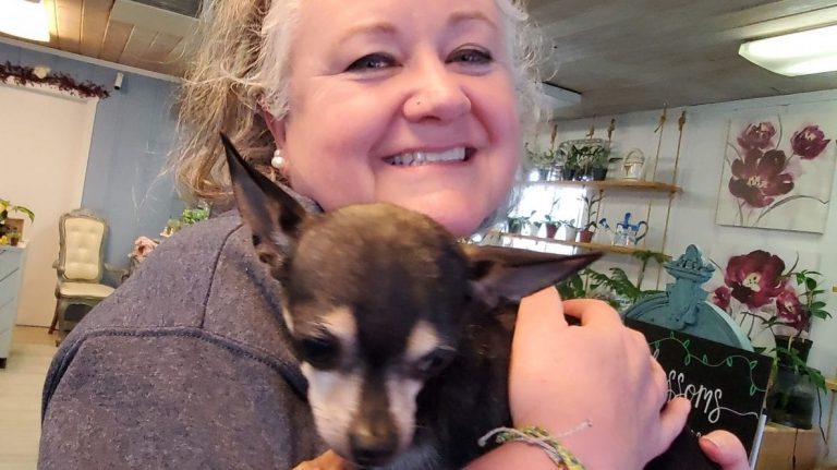 ResQ Animal Coalition