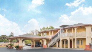 A vibrant dog park bathed in sunlight features abundant greenery with mature trees, offering ample shade for leisurely outdoor activities. In the distance is a well-equipped playground that presents an additional activity area. An inviting picnic table spreads out nearby, ideal for enjoying meals al fresco or taking relaxing breaks from play. A neatly-placed trash bin aids in maintaining the park's cleanliness for everyone's enjoyment. Dominating the scene is a generously wide dirt path gracefully curving through the expanse of grass, promising exploratory walks and lively fetch games.