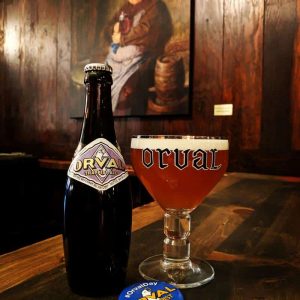 A vibrant dog park bathed in sunlight features abundant greenery with mature trees, offering ample shade for leisurely outdoor activities. In the distance is a well-equipped playground that presents an additional activity area. An inviting picnic table spreads out nearby, ideal for enjoying meals al fresco or taking relaxing breaks from play. A neatly-placed trash bin aids in maintaining the park's cleanliness for everyone's enjoyment. Dominating the scene is a generously wide dirt path gracefully curving through the expanse of grass, promising exploratory walks and lively fetch games.