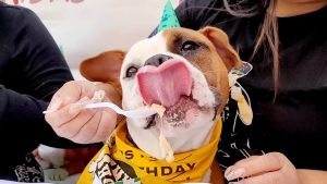 VideoCapture 20220316