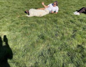 A vibrant dog park bathed in sunlight features abundant greenery with mature trees, offering ample shade for leisurely outdoor activities. In the distance is a well-equipped playground that presents an additional activity area. An inviting picnic table spreads out nearby, ideal for enjoying meals al fresco or taking relaxing breaks from play. A neatly-placed trash bin aids in maintaining the park's cleanliness for everyone's enjoyment. Dominating the scene is a generously wide dirt path gracefully curving through the expanse of grass, promising exploratory walks and lively fetch games.