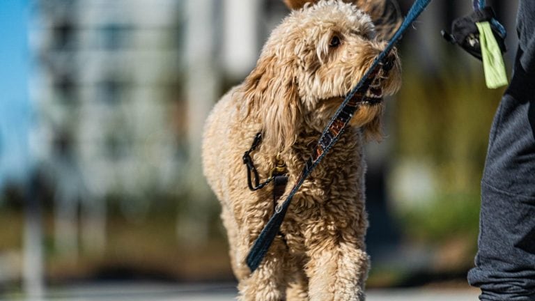 Photo by Visit Long Beach.