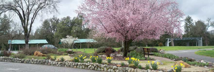 Western Gateway Park