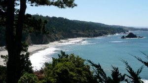 A vibrant dog park bathed in sunlight features abundant greenery with mature trees, offering ample shade for leisurely outdoor activities. In the distance is a well-equipped playground that presents an additional activity area. An inviting picnic table spreads out nearby, ideal for enjoying meals al fresco or taking relaxing breaks from play. A neatly-placed trash bin aids in maintaining the park's cleanliness for everyone's enjoyment. Dominating the scene is a generously wide dirt path gracefully curving through the expanse of grass, promising exploratory walks and lively fetch games.