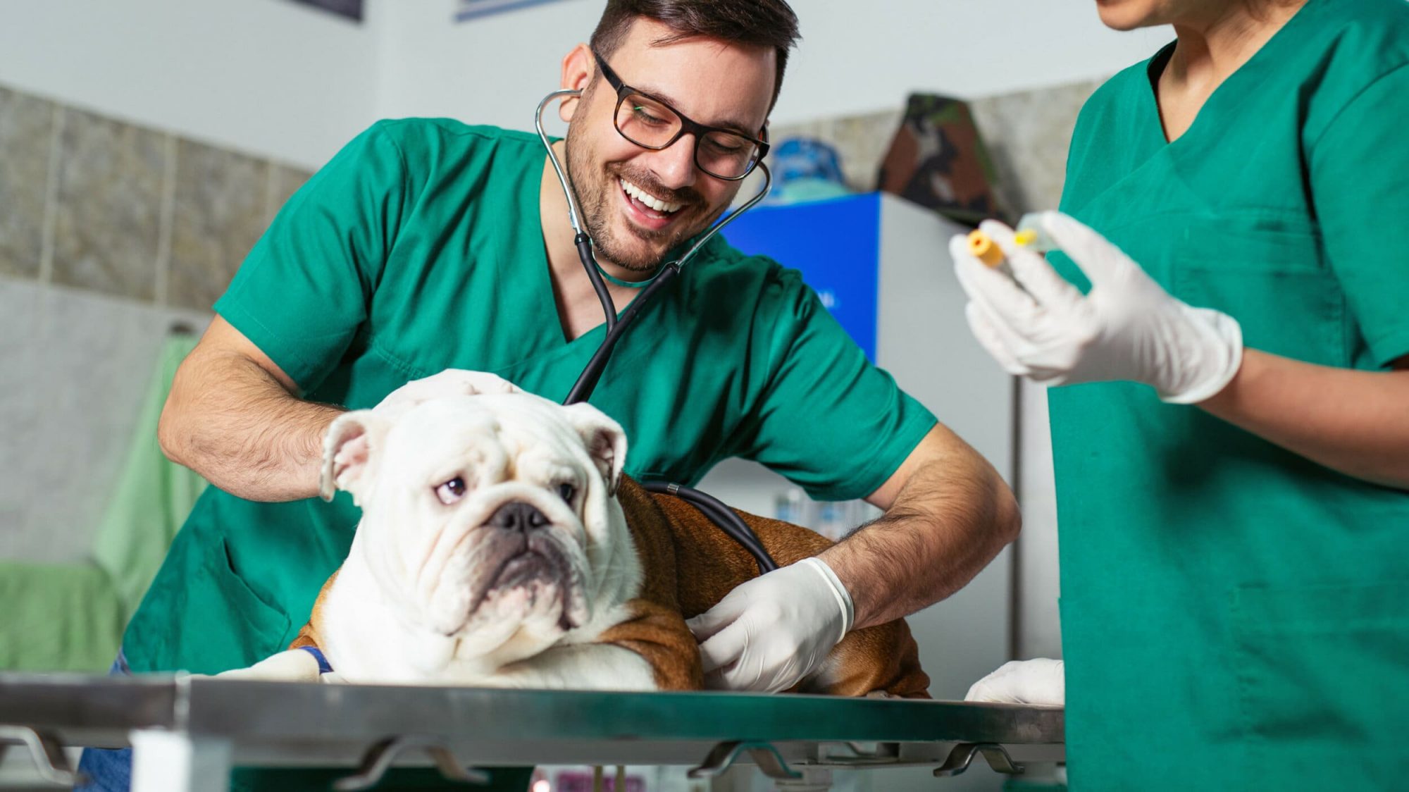Veterinarians