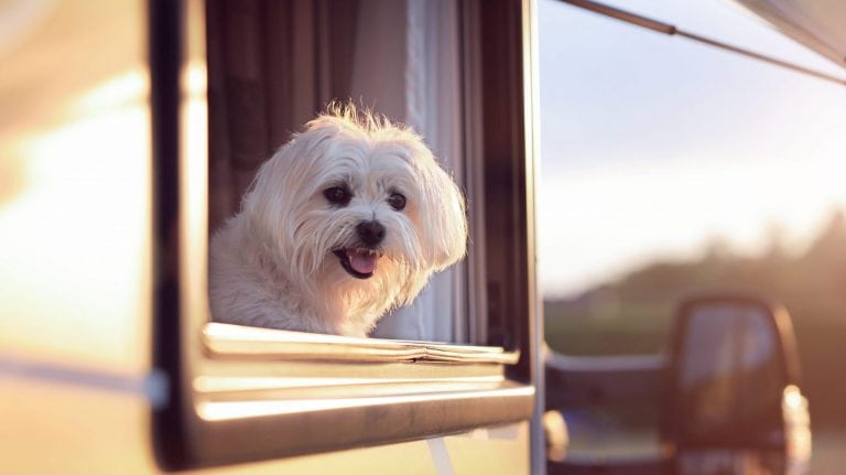 Bishop RV Park – Tri County Fairgrounds