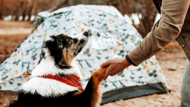 Middle Creek Campground
