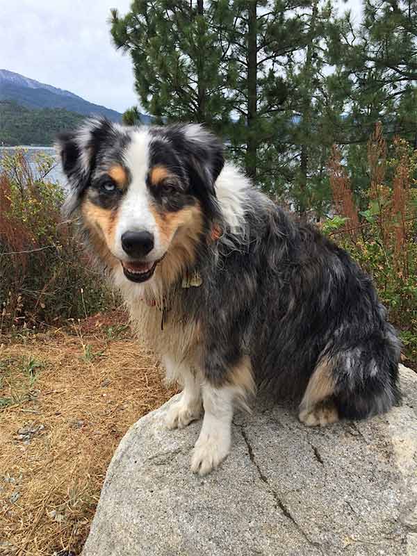 Bliss at Whiskeytown