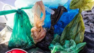 A vibrant dog park bathed in sunlight features abundant greenery with mature trees, offering ample shade for leisurely outdoor activities. In the distance is a well-equipped playground that presents an additional activity area. An inviting picnic table spreads out nearby, ideal for enjoying meals al fresco or taking relaxing breaks from play. A neatly-placed trash bin aids in maintaining the park's cleanliness for everyone's enjoyment. Dominating the scene is a generously wide dirt path gracefully curving through the expanse of grass, promising exploratory walks and lively fetch games.