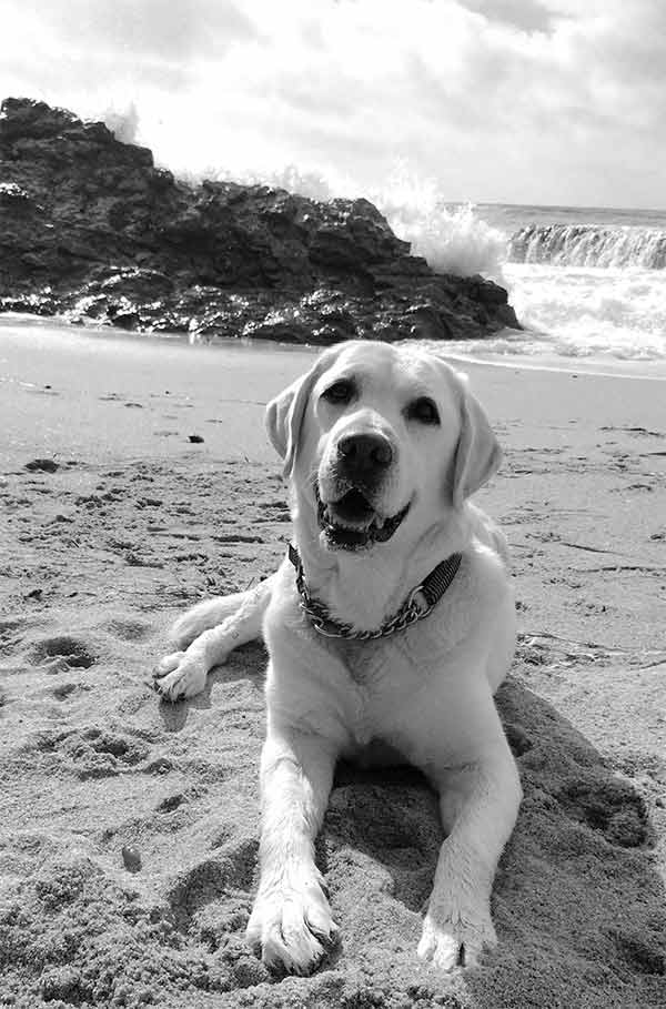 Buoy at the beach in Half Moon Bay, CA