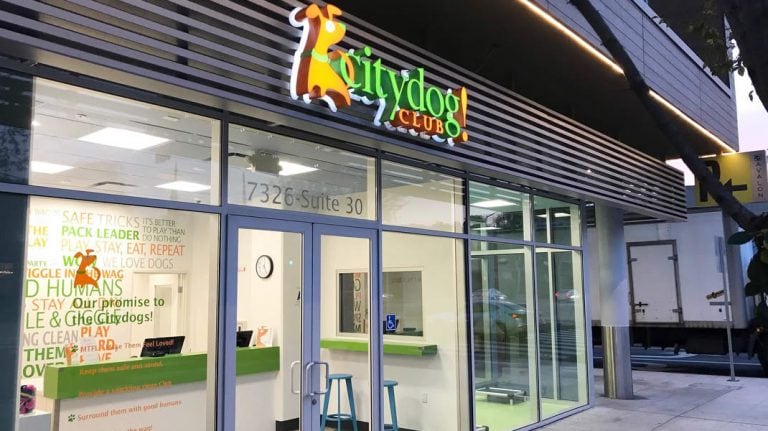 CityDog! Club West Hollywood