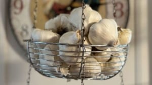 A vibrant dog park bathed in sunlight features abundant greenery with mature trees, offering ample shade for leisurely outdoor activities. In the distance is a well-equipped playground that presents an additional activity area. An inviting picnic table spreads out nearby, ideal for enjoying meals al fresco or taking relaxing breaks from play. A neatly-placed trash bin aids in maintaining the park's cleanliness for everyone's enjoyment. Dominating the scene is a generously wide dirt path gracefully curving through the expanse of grass, promising exploratory walks and lively fetch games.