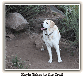 Kayla takes to the trail