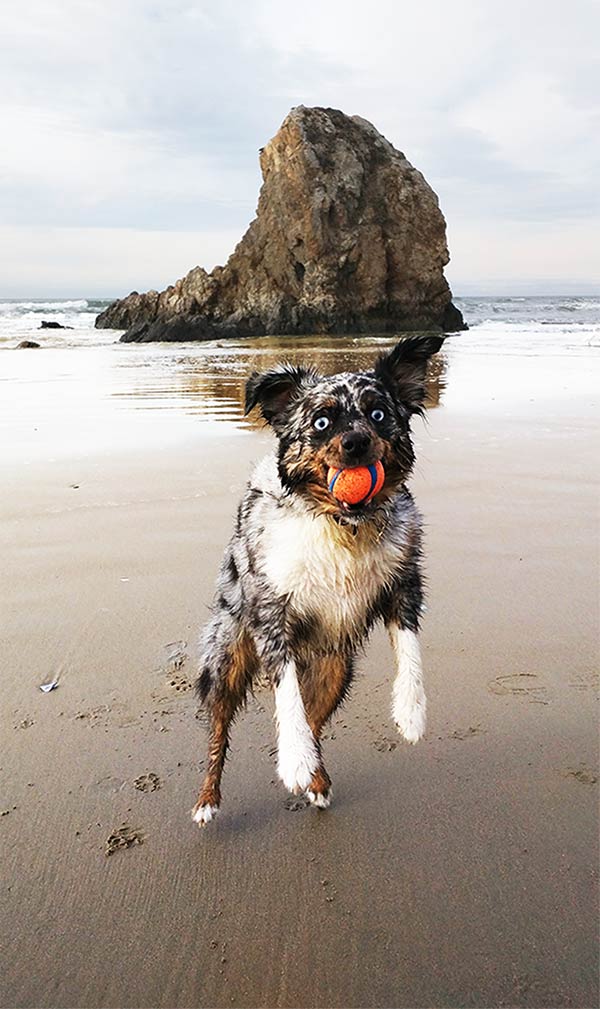 Matilda at Pismo Beach