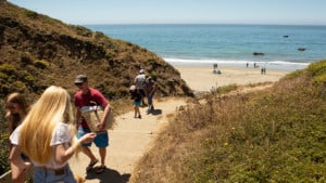 A vibrant dog park bathed in sunlight features abundant greenery with mature trees, offering ample shade for leisurely outdoor activities. In the distance is a well-equipped playground that presents an additional activity area. An inviting picnic table spreads out nearby, ideal for enjoying meals al fresco or taking relaxing breaks from play. A neatly-placed trash bin aids in maintaining the park's cleanliness for everyone's enjoyment. Dominating the scene is a generously wide dirt path gracefully curving through the expanse of grass, promising exploratory walks and lively fetch games.