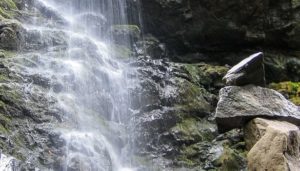 A vibrant dog park bathed in sunlight features abundant greenery with mature trees, offering ample shade for leisurely outdoor activities. In the distance is a well-equipped playground that presents an additional activity area. An inviting picnic table spreads out nearby, ideal for enjoying meals al fresco or taking relaxing breaks from play. A neatly-placed trash bin aids in maintaining the park's cleanliness for everyone's enjoyment. Dominating the scene is a generously wide dirt path gracefully curving through the expanse of grass, promising exploratory walks and lively fetch games.