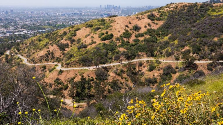 Runyon Canyon Park – Fuller Ave. Entrance